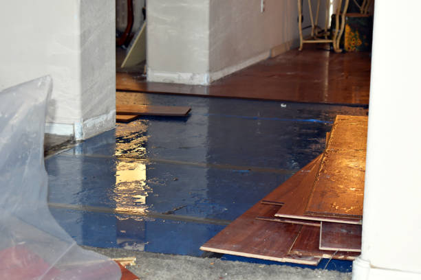 Professional Flood Damage Repair technician working in Glenbeulah, WI